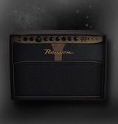 Reason SM25 Combo Amp