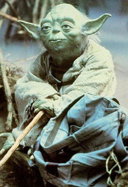 yoda yoda